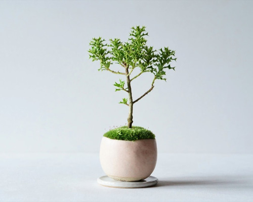 0_47c9c0f9878d512d16b13969ce8a