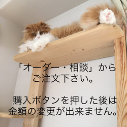 送料無料☆猫のマグネット☆2匹以上ご希望の方専用 3枚目の画像