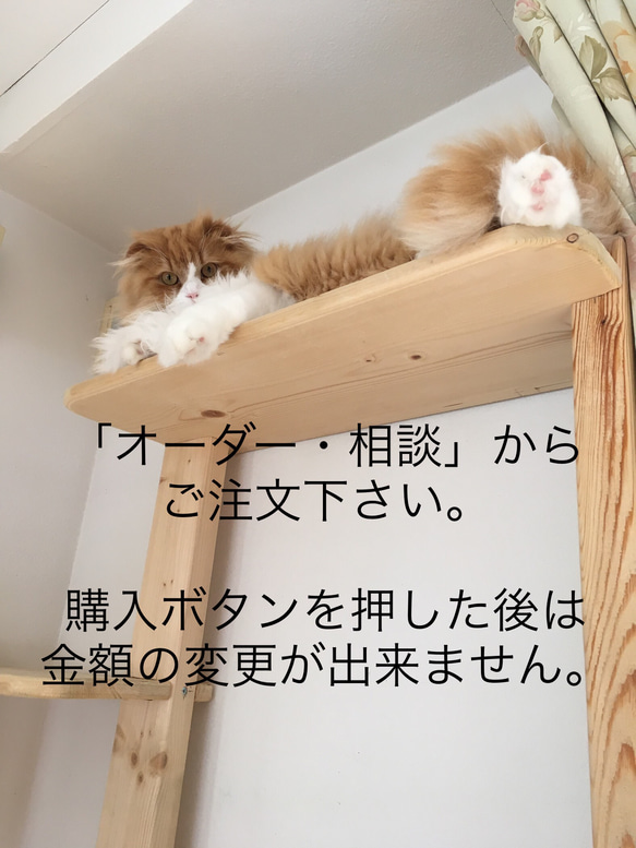 送料無料☆猫のマグネット☆2匹以上ご希望の方専用 3枚目の画像