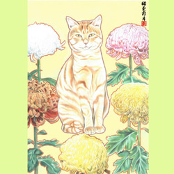 猫 菊 霜月（ねこきくしもつき）和風水彩イラスト 1枚目の画像