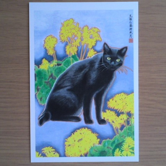 黒猫 石蕗 神無月（くろねこつわぶきかんなづき）絵はがき 3枚目の画像