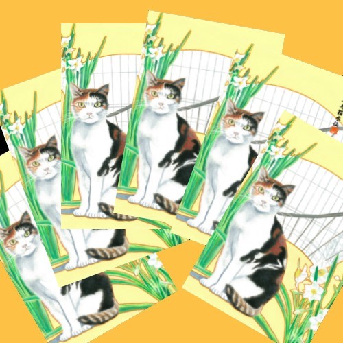 三毛猫 水仙 和風水彩イラスト 年賀状 6枚組 ポストカード 猫じゃらし