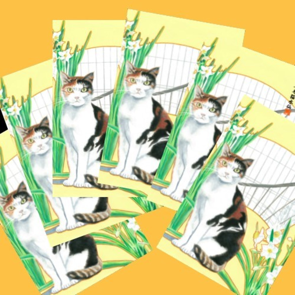 三毛猫 水仙 和風水彩イラスト 年賀状 6枚組 1枚目の画像