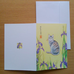 グリーティングカード 猫 杜若（かきつばた） 和風水彩イラスト 1枚目の画像