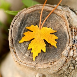 【2021年秋季福袋】6件組流行單肩包、扣環背包、皮夾、皮革配件 第3張的照片