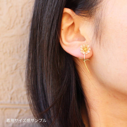 チェリーレッドのスタッドカモミール ピアス/イヤリング 3枚目の画像