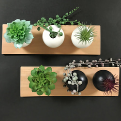 （再販）ジャパニーズモダンスタイル・多肉植物・ころんと小さなutsuwa・3個セット・白（木板付き） 8枚目の画像