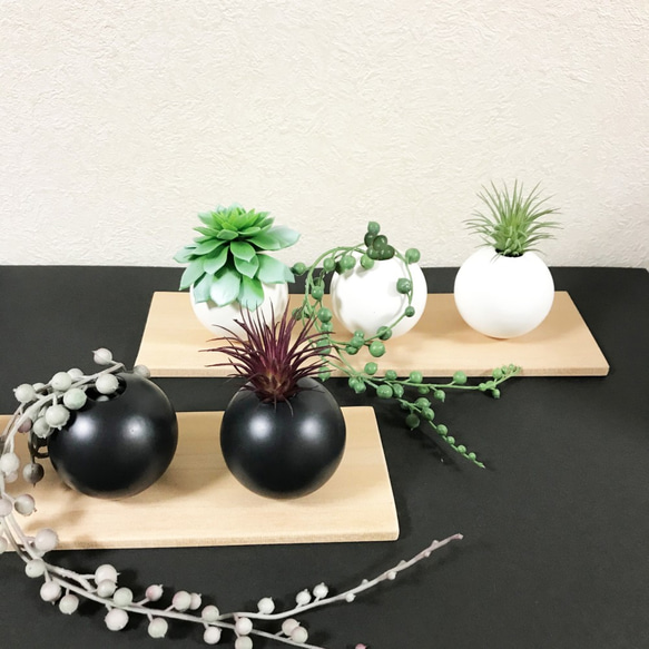 （再販）ジャパニーズモダンスタイル・多肉植物・ころんと小さなutsuwa・3個セット・黒（木板付き） 8枚目の画像