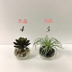 多肉植物・フェイク・ガラス・2個セット（No.2とNo.3) 5枚目の画像