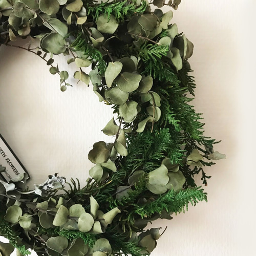 魔女の棲む森 ～オーララ丘のユーカリ～ ドライフラワー リース グリーンリース 魔女の棲む森 ～オーララ丘のユーカリ～ ドライフラワー リース