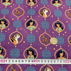 【売り尽くし】USA輸入キャラクター生地 Disney アラジン・プリンセス・ジャスミンの生地☆ 2枚目の画像