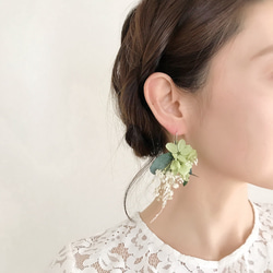 プリザーブドフラワーピアス（イヤリング）／ナチュラルグリーン