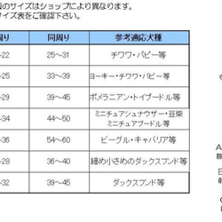  第8張的照片