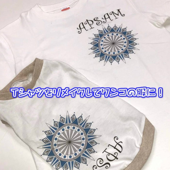 Tシャツリメイクでドッグウェア製作 1枚目の画像