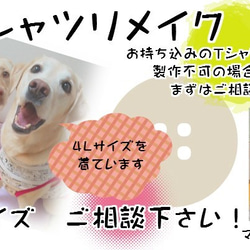 Tシャツリメイクでドッグウェア製作 7枚目の画像