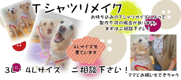 Tシャツリメイクでドッグウェア製作 7枚目の画像