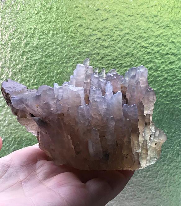 318 瑪瑙バンブーアゲート森