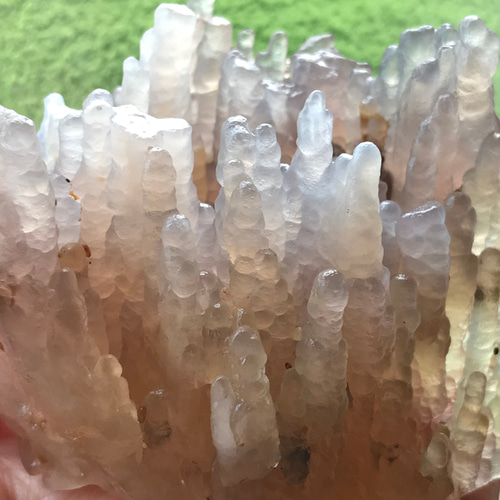 318 瑪瑙バンブーアゲート森