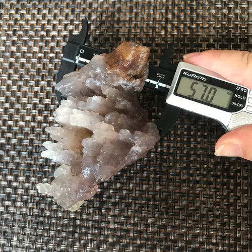 318 瑪瑙バンブーアゲート森