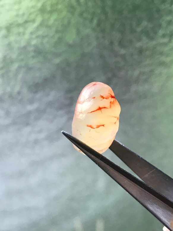 ゴビ石−321 ゴビ瑪瑙　血脈 1枚目の画像