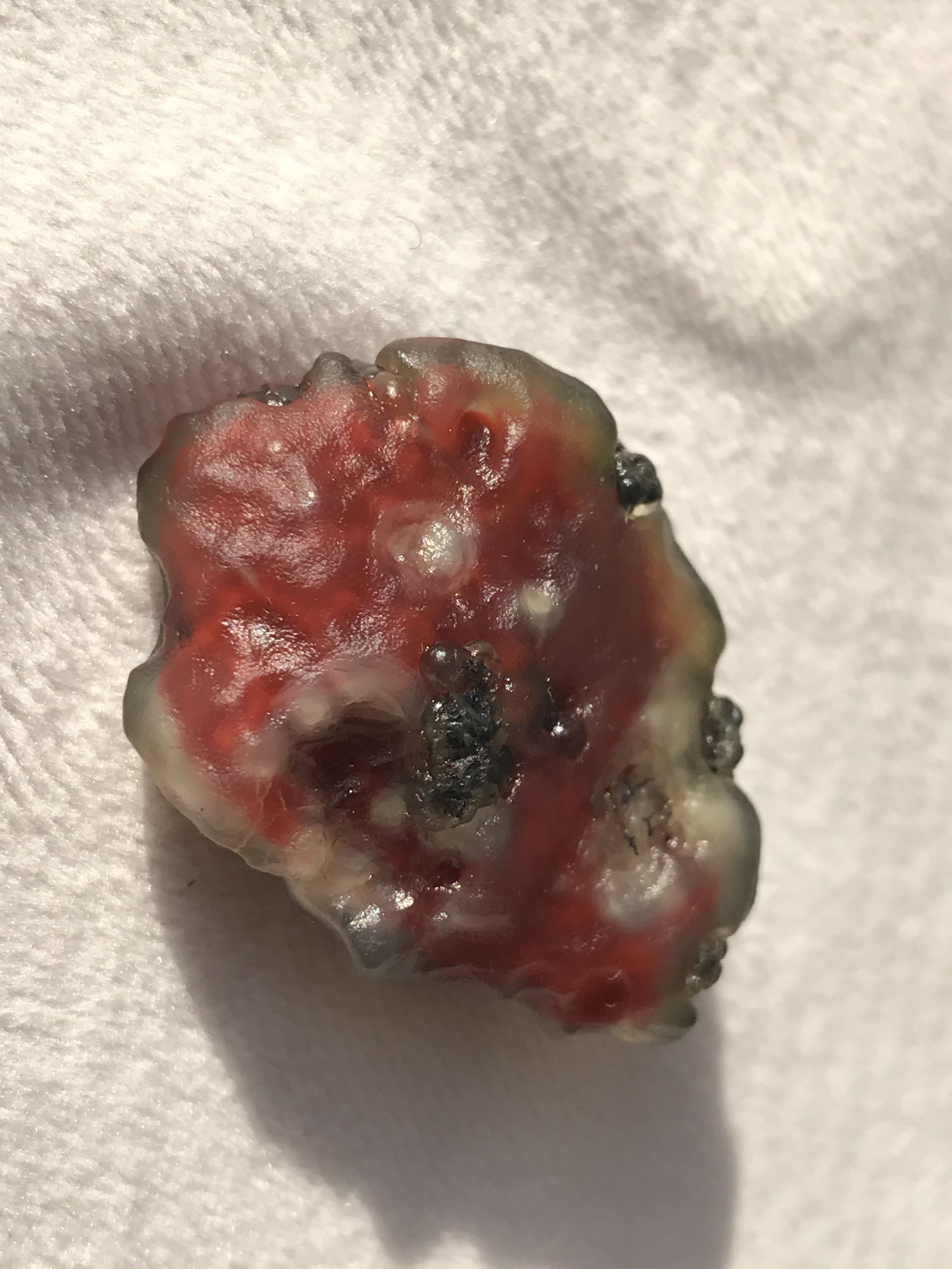 ゴビ石−499 ゴビ瑪瑙　地表黒山瑪瑙