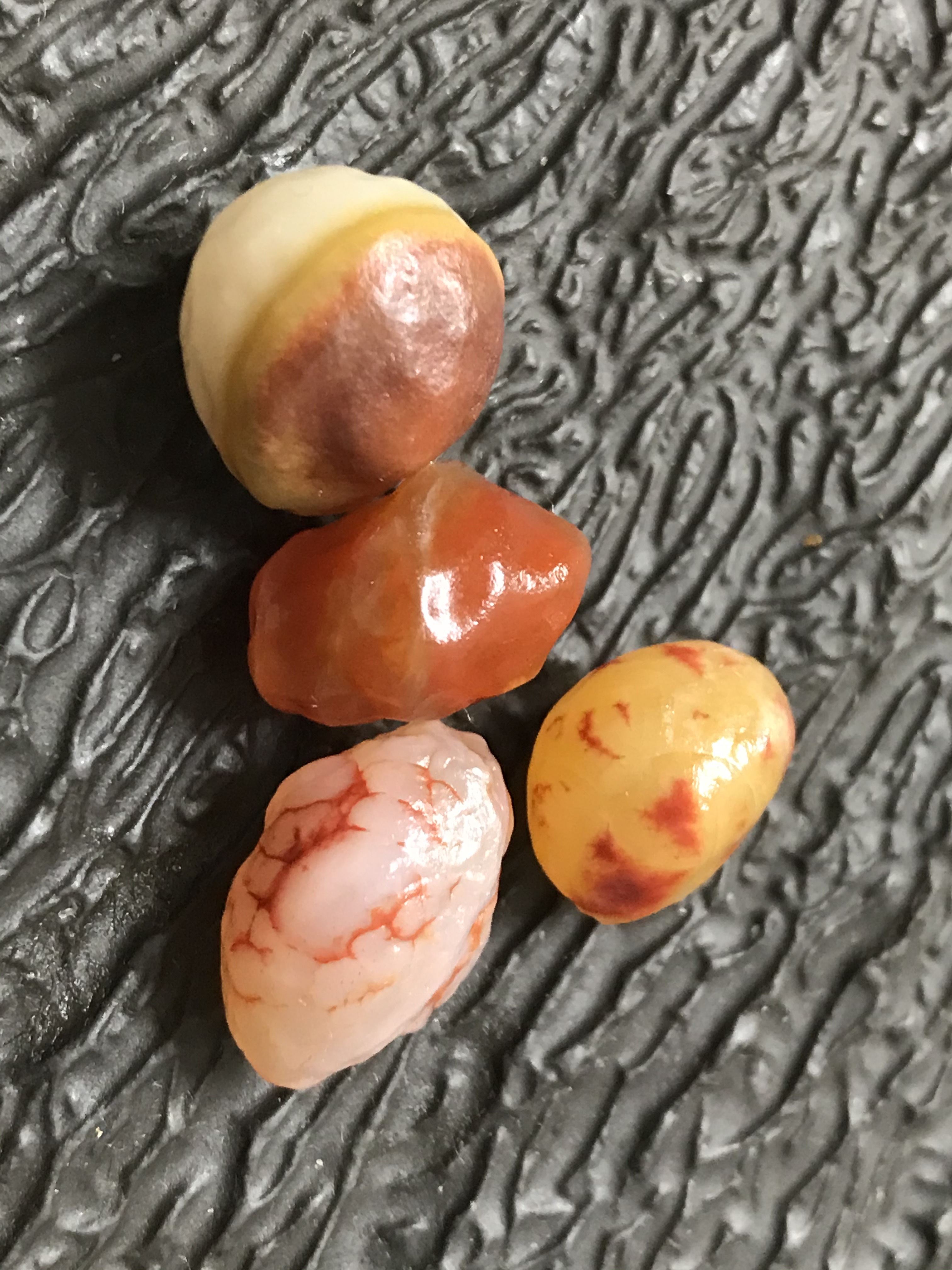 ゴビ石−574 ゴビ瑪瑙　原石　地表　血脈