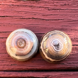 ゴビ石−777 ゴビ瑪瑙　眼石　ルース　2個　バラ売り可能です 2枚目の画像