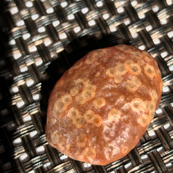 ゴビ石−210 ゴビ瑪瑙　原石　花眼 4枚目の画像