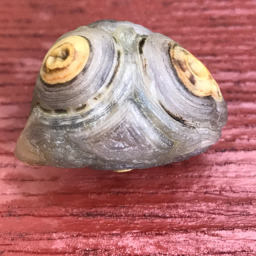 ゴビ石−292  眼石　薄紫　防毒マスク ゴビ石−292 眼石 薄紫 防毒マスク 天然石 KIKI 通販 9897074