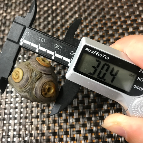 ゴビ石−292 眼石薄紫防毒マスク