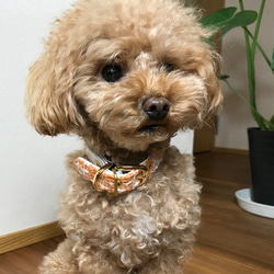 おしゃれな犬の首輪｜ツイード・カラーCHISA（オレンジ） 5枚目の画像