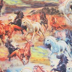 デッドストック馬柄プリント生地 1枚目の画像