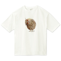 ◎２種類◎ みみずくのビッグシルエットTシャツ 1枚目の画像