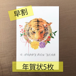  第2張的照片