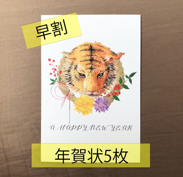  第2張的照片