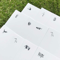 ☆再…販☆  ポストカード ５枚セット（全30種類）動物・トラ・みみずく・アライグマ・メロンソーダ 5枚目の画像