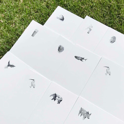 ☆再…販☆ ポストカード ２枚セット（全30種類）動物・トラ・みみずく・アライグマ・メロンソーダ 5枚目の画像