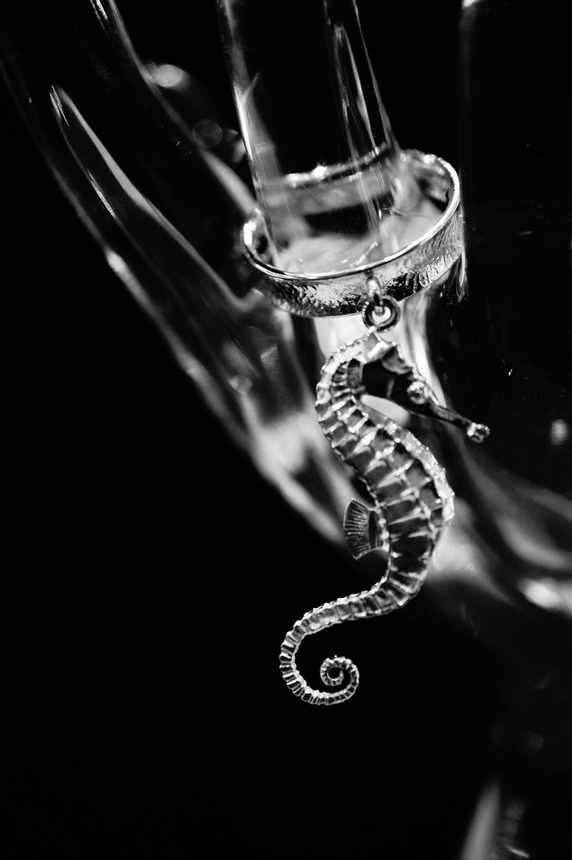 hippocampus ring