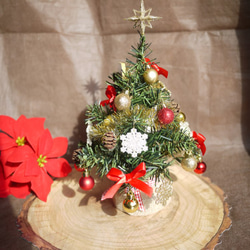 クリスマスツリー 4枚目の画像