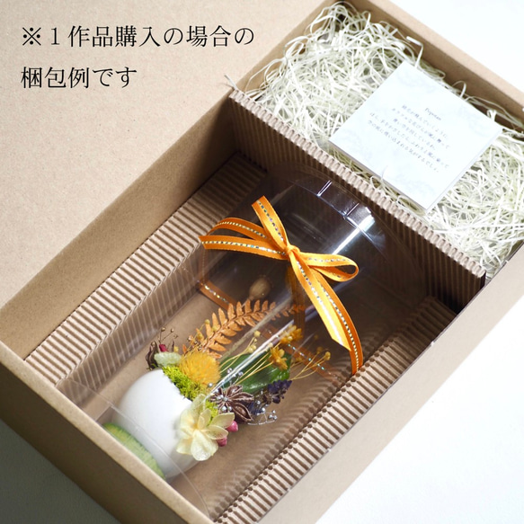 卵に眠る箱庭『Miyabi』 6枚目の画像