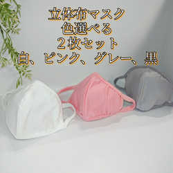 【セット価格でお買得！】ノーズフィッター付立体マスク 2枚セット  黒、白、グレー、ピンク 1枚目の画像