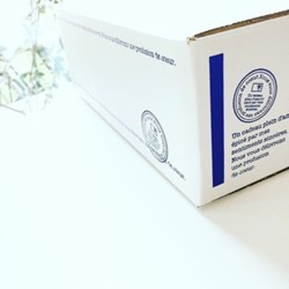 瀬戸内レモンケーキ(ハーフサイズ2本入)専用BOX＆リボンラッピング込み♫※冷凍商品 6枚目の画像