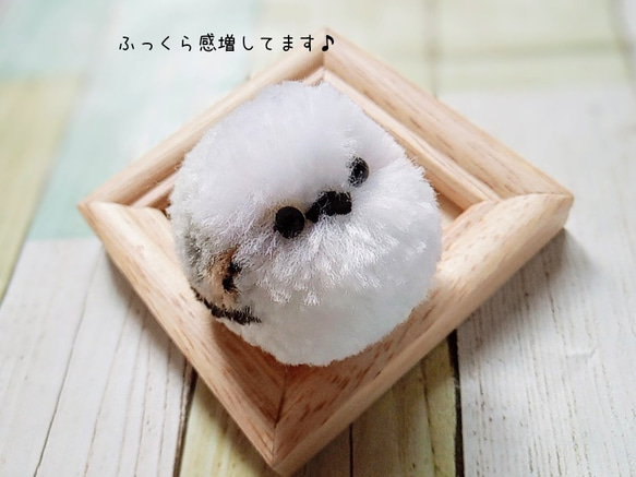 シマエナガ　１羽　ポンポン　ダルマ毛糸 シマエナガ 1羽 ポンポン ダルマ毛糸