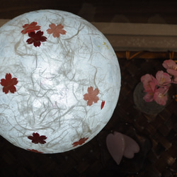 まんまる桜のランプシェード(大)～ライト付き!! 4枚目の画像
