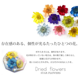 【０２　スカイブルー】生花を使用したスターフラワー　１５個 3枚目の画像