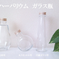 【電球型ガラス瓶】ハーバリウム　ガラス瓶　２個　２１８ｃｃ 2枚目の画像