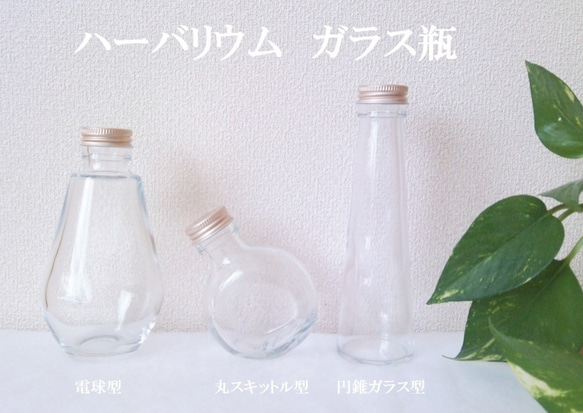 【電球型ガラス瓶】ハーバリウム　ガラス瓶　２個　２１８ｃｃ 2枚目の画像