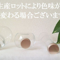 【電球型ガラス瓶】ハーバリウム　ガラス瓶　２個　２１８ｃｃ 3枚目の画像
