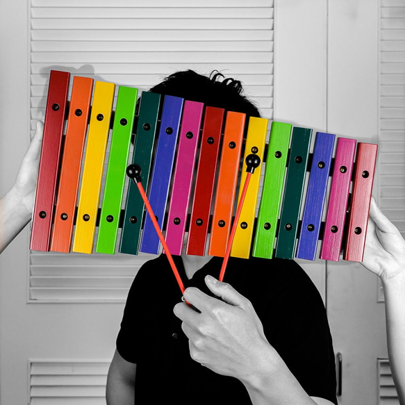 【DoBo】彩色15音小木琴 第4張的照片