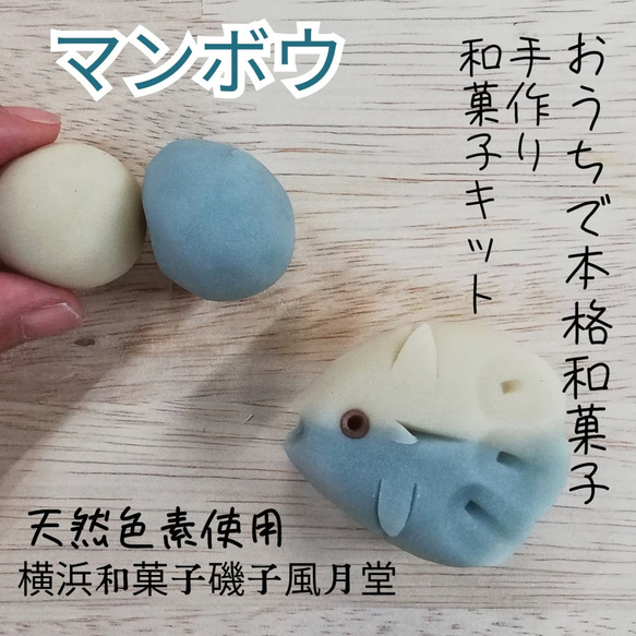 『自由研究キット2021』天然色素使用 おうちで和菓子 和菓子屋さんの作成キット 翻車魚 マンボウ 海の生き物 1枚目の画像